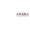 Angola: from before its creation by the Portuguese until the exodus of these by our creation - Special Edition - Vol. I