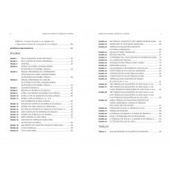 Ensino dos Números, Sequências e Padrões | Teaching of Numbers, Sequences and Standards
